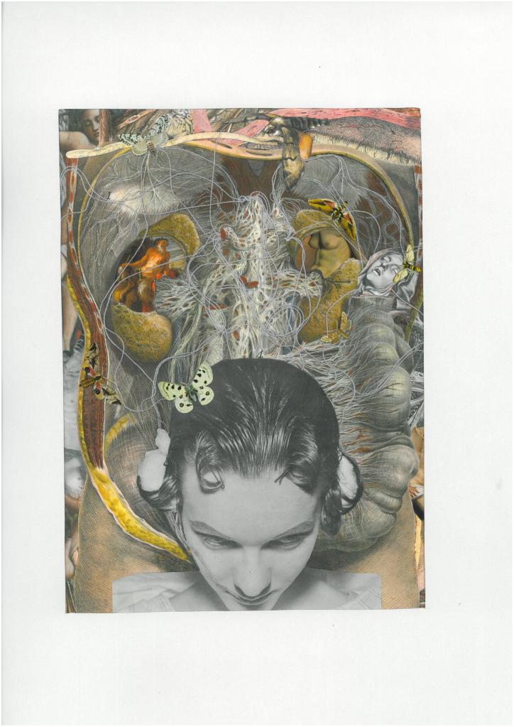 Carpe_Diem_Schmetterlinge-im-Bauch_2009